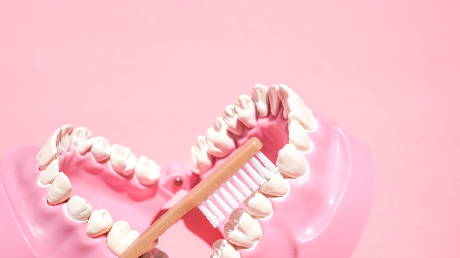 Descubre nuestro blog